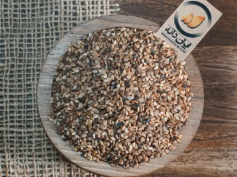 1مقاله-سرای-کنجد-مقاله-اول