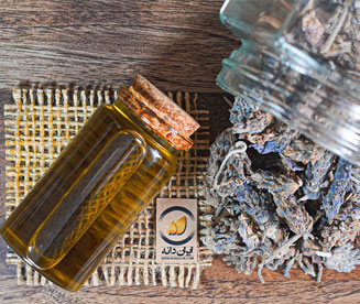 صفحه اصلی ایران دانه