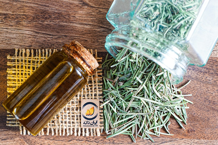 روغن رزماری