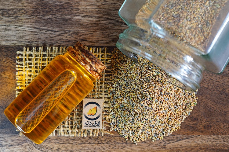 روغن منداب