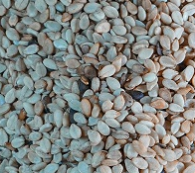 کنجد بوجار شده