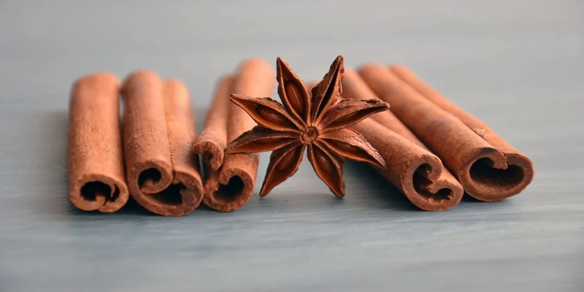 انواع چوب دارچین