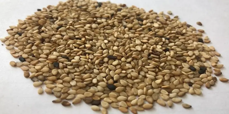 کنجد پاکستانی