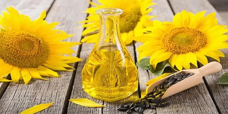 مغز آفتاب گردان روغن گیری