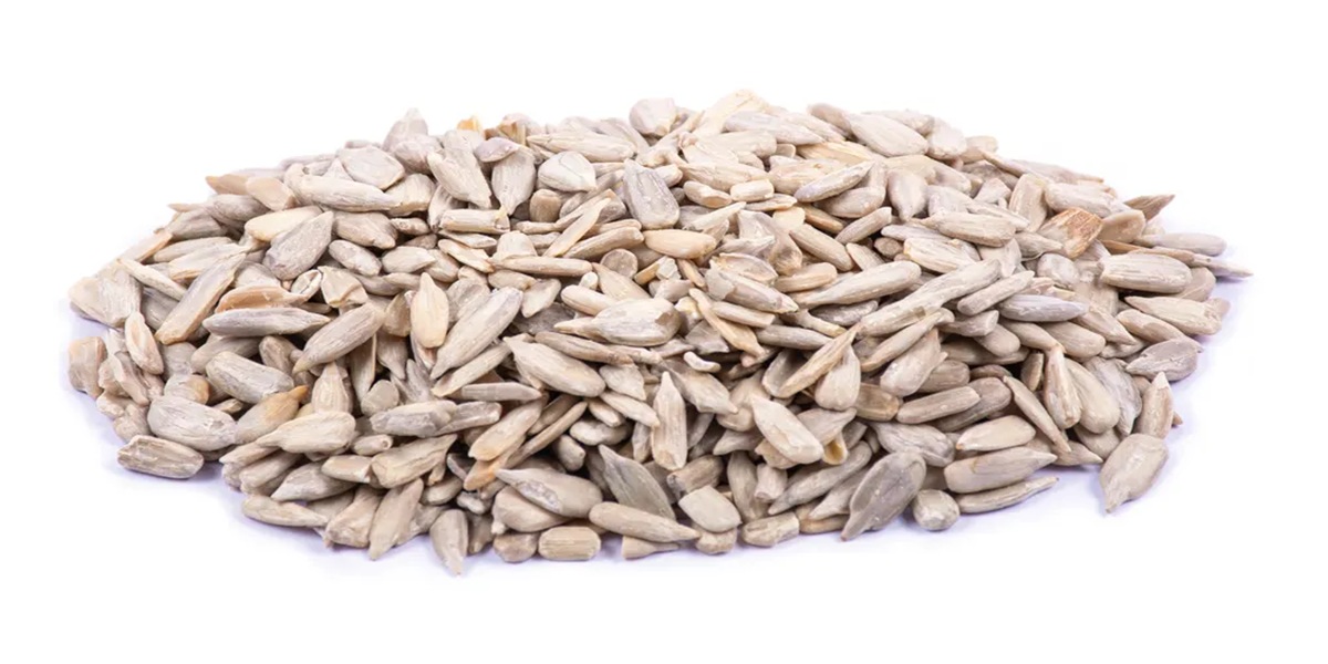 خوردن تخمه آفتابگردان در پریودی