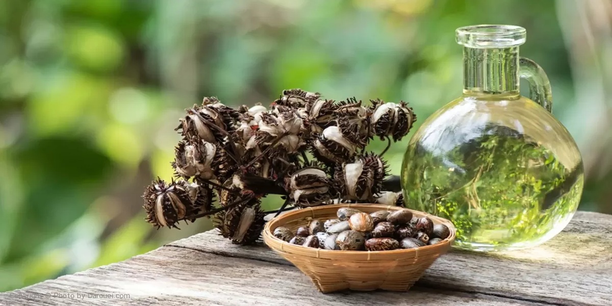 روغن کرچک خوراکی