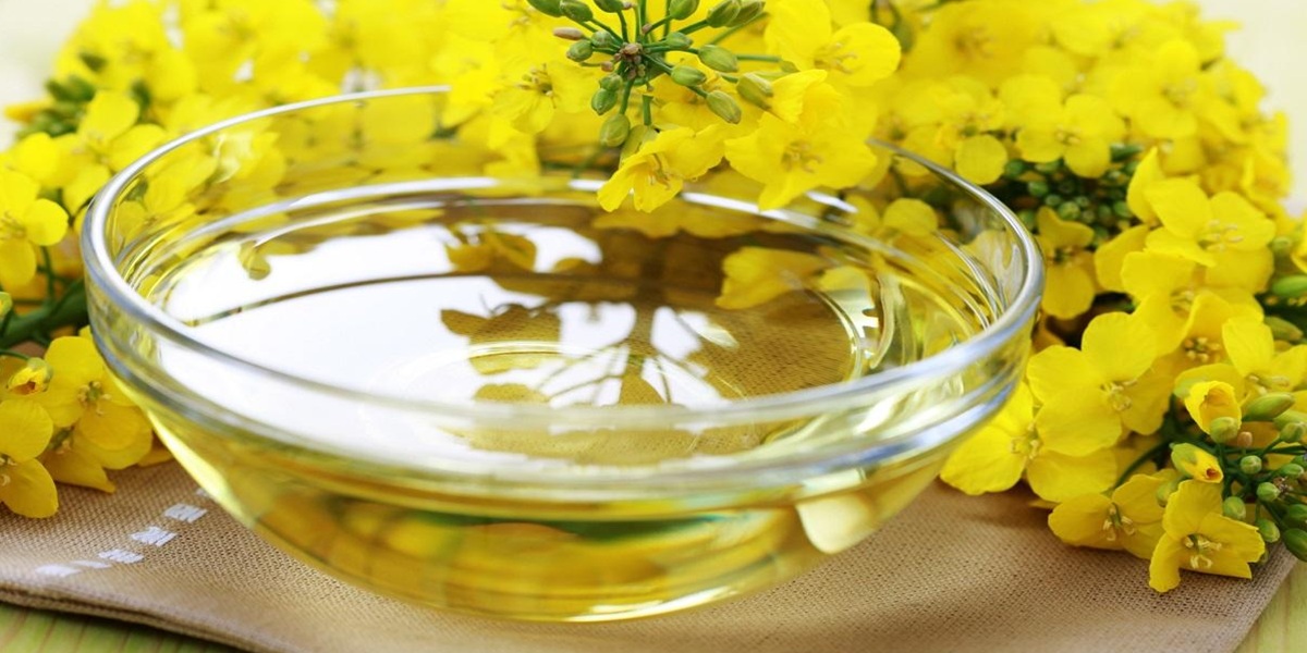 خواص روغن کلزا
