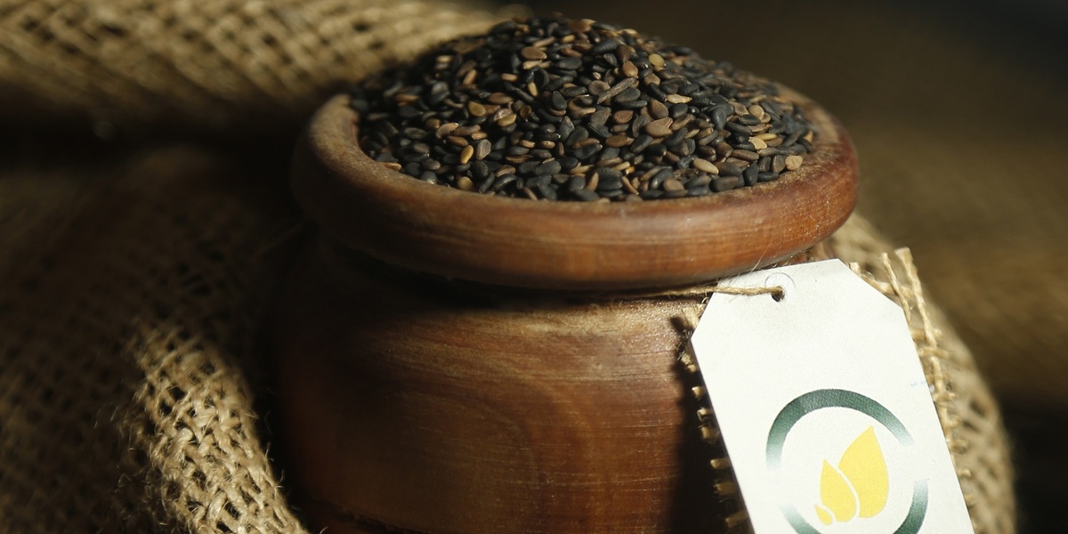 انواع کنجد پاکستانی