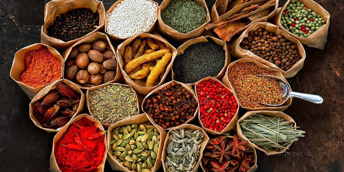 انواع ادویه جات و کاربرد آنها در آشپزی ایرانی