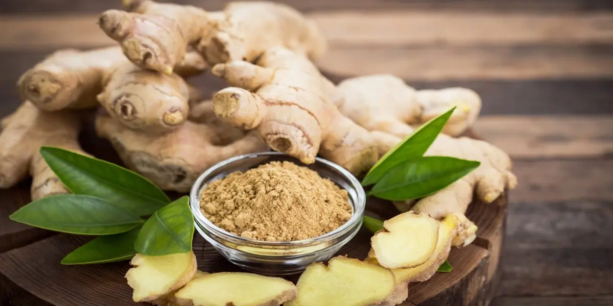 حد مجاز مصرف زنجبیل در روز