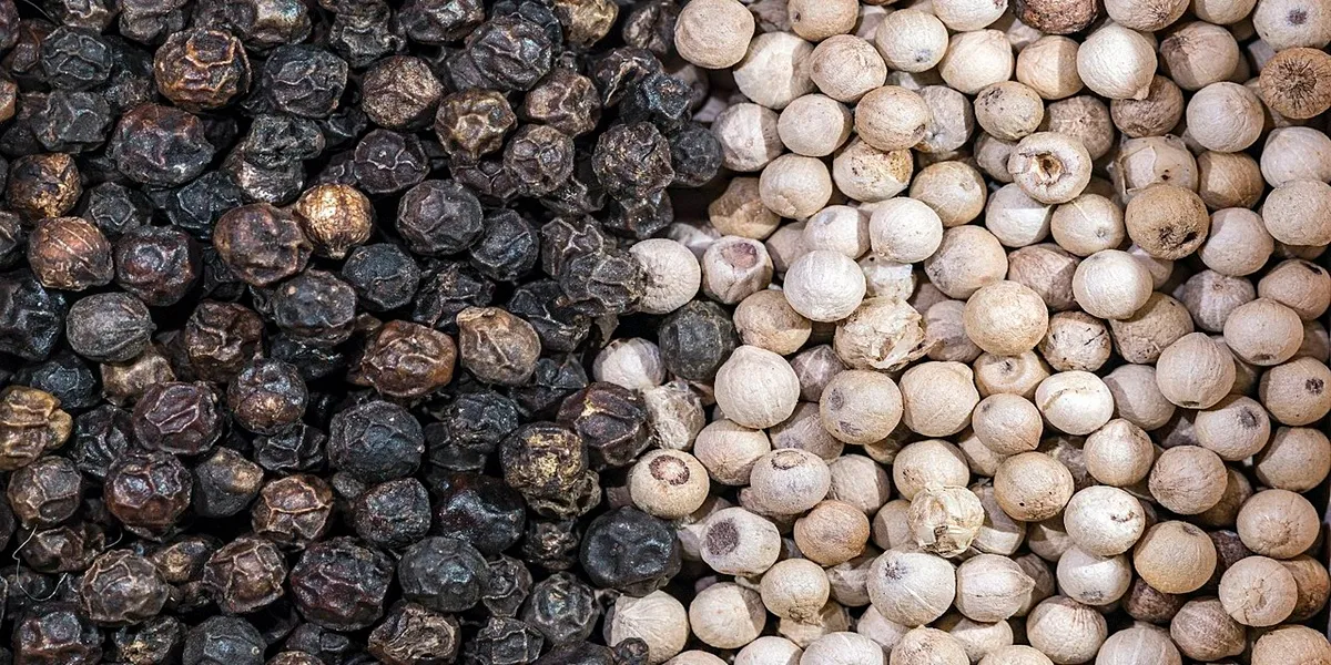 طبع فلفل سیاه