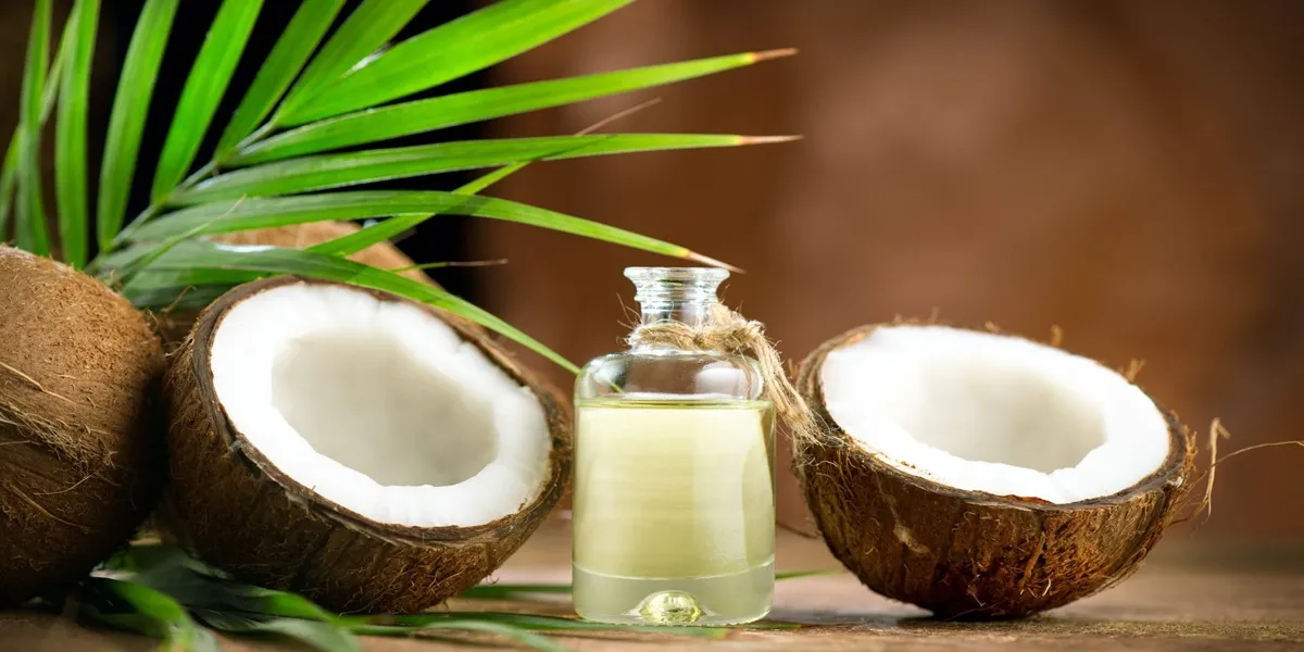 روغن نارگیل خوراکی اصل از کجا بخریم