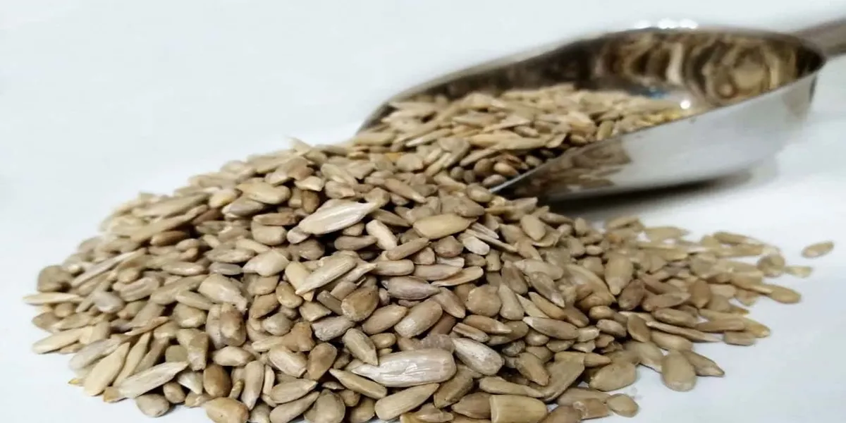 مغز تخمه آفتابگردان در مشهد